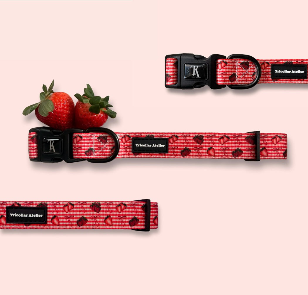 Paws & Berries - Stawberry dog collar