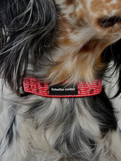 Paws & Berries - Stawberry dog collar