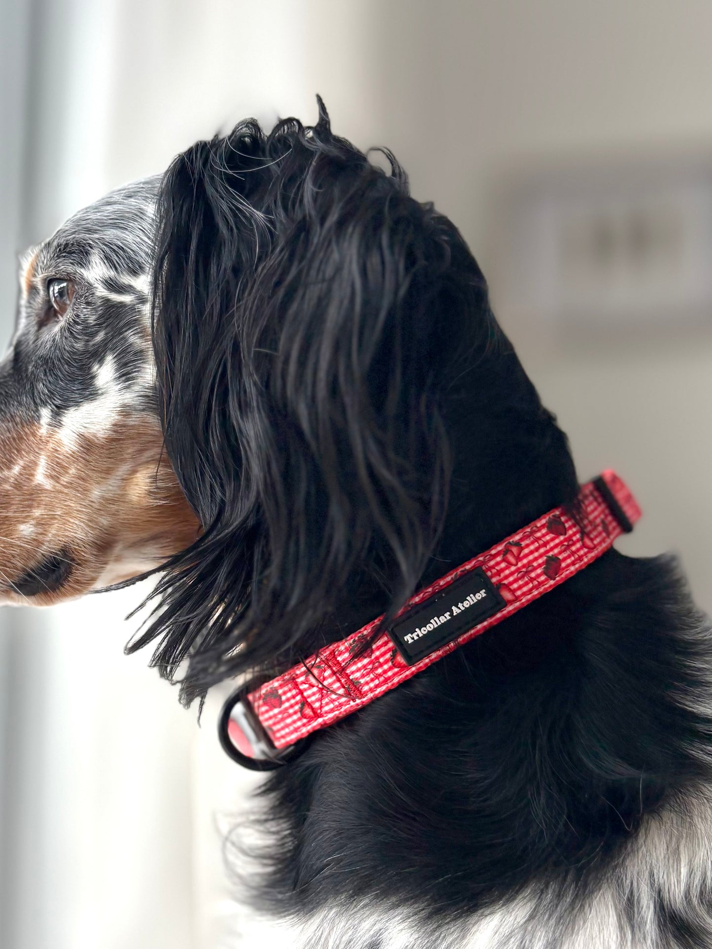 Paws & Berries - Stawberry dog collar