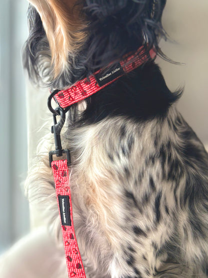 Paws & Berries - Strawberry dog leash