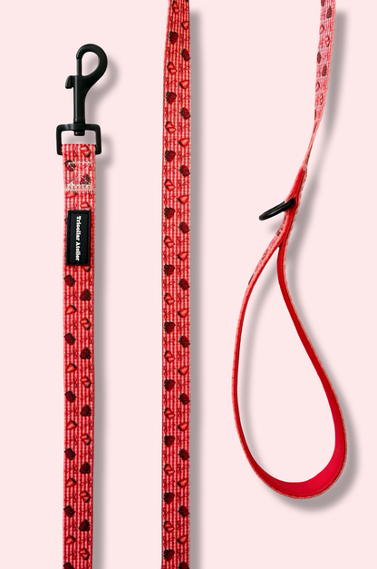 Paws & Berries - Strawberry dog leash